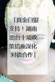 真金白银支持！湖南出台十项政策措施深化对德合作