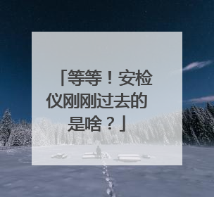 等等！安检仪刚刚过去的是啥？