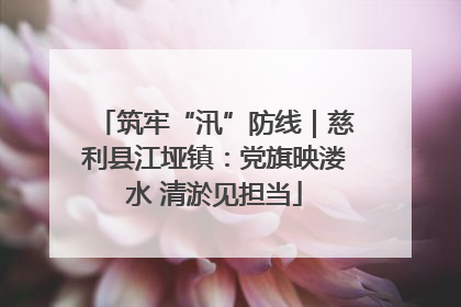 筑牢“汛”防线｜慈利县江垭镇：党旗映溇水 清淤见担当