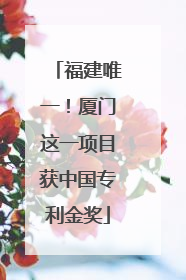 福建唯一！厦门这一项目获中国专利金奖
