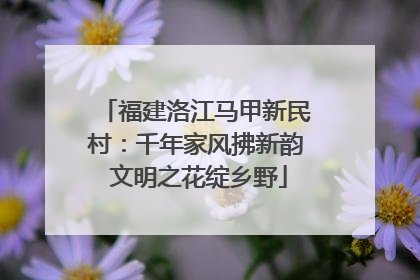 福建洛江马甲新民村：千年家风拂新韵 文明之花绽乡野