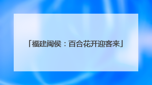 福建闽侯：百合花开迎客来