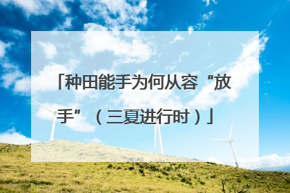 种田能手为何从容“放手”（三夏进行时）