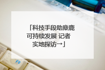 科技手段助麋鹿可持续发展 记者实地探访→