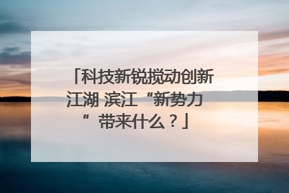 科技新锐搅动创新江湖 滨江“新势力”带来什么？
