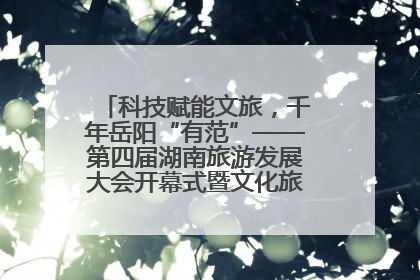 科技赋能文旅，千年岳阳“有范”——第四届湖南旅游发展大会开幕式暨文化旅游推介会侧记