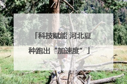 科技赋能 河北夏种跑出“加速度”