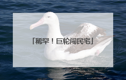 稀罕！巨轮闯民宅