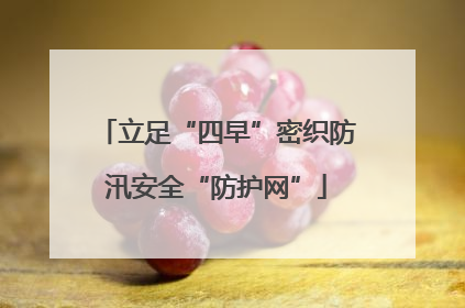 立足“四早”密织防汛安全“防护网”