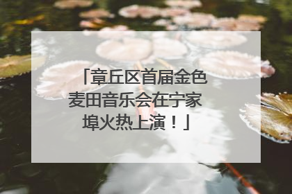 章丘区首届金色麦田音乐会在宁家埠火热上演！