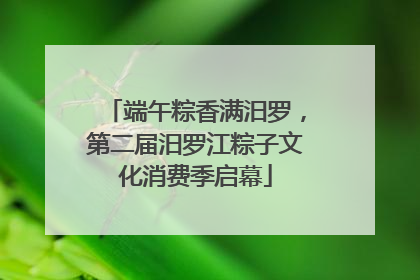 端午粽香满汨罗，第二届汨罗江粽子文化消费季启幕