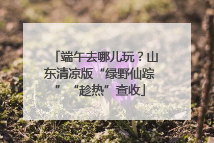 端午去哪儿玩？山东清凉版“绿野仙踪”“趁热”查收