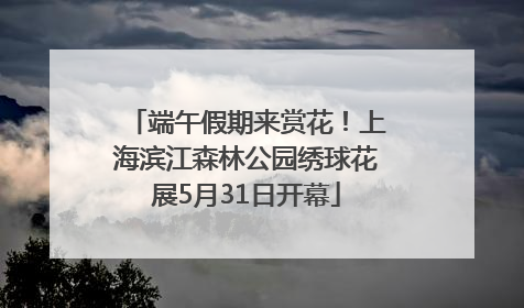 端午假期来赏花！上海滨江森林公园绣球花展5月31日开幕