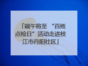 端午将至 “百姓点检日”活动走进枝江市丹阳社区