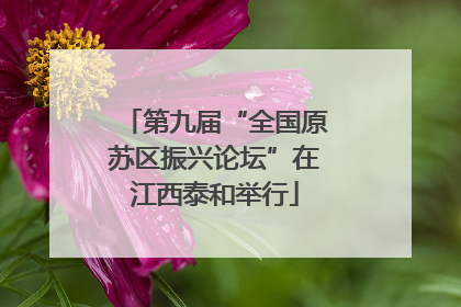 第九届“全国原苏区振兴论坛”在江西泰和举行