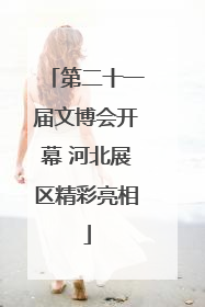 第二十一届文博会开幕 河北展区精彩亮相