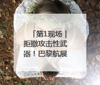 第1现场｜拒撤攻击性武器！巴黎航展竖黑墙隔离以色列四展台