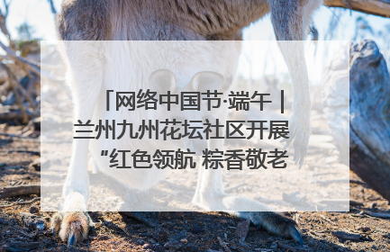 网络中国节·端午｜兰州九州花坛社区开展“红色领航 粽香敬老”端午主题活动