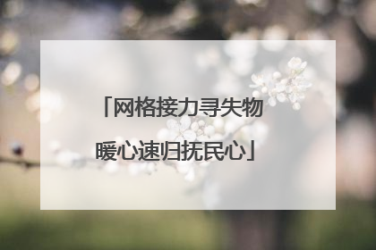 网格接力寻失物 暖心速归抚民心