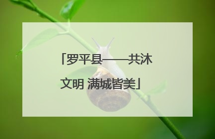 罗平县——共沐文明 满城皆美