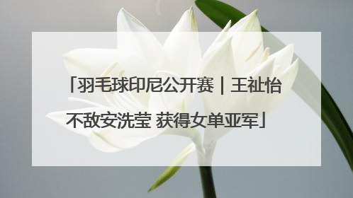 羽毛球印尼公开赛｜王祉怡不敌安洗莹 获得女单亚军