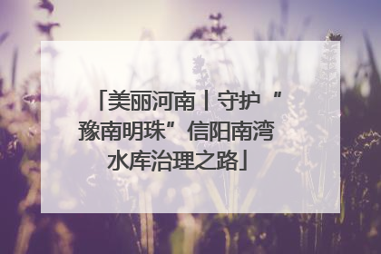 美丽河南丨守护“豫南明珠”信阳南湾水库治理之路