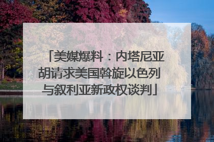 美媒爆料：内塔尼亚胡请求美国斡旋以色列与叙利亚新政权谈判