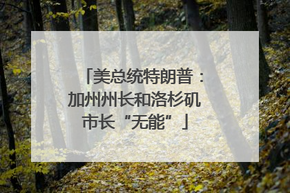 美总统特朗普：加州州长和洛杉矶市长“无能”