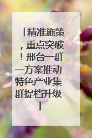 精准施策，重点突破！邢台一群一方案推动特色产业集群提档升级