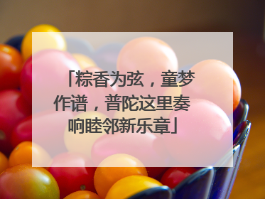 粽香为弦，童梦作谱，普陀这里奏响睦邻新乐章