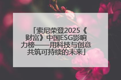 索尼荣登2025《财富》中国ESG影响力榜——用科技与创意共筑可持续的未来