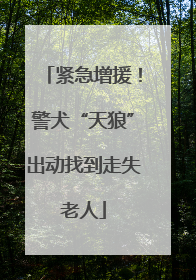 紧急增援！警犬“天狼”出动找到走失老人