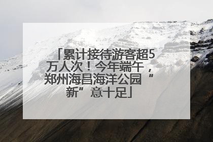 累计接待游客超5万人次！今年端午，郑州海昌海洋公园“新”意十足