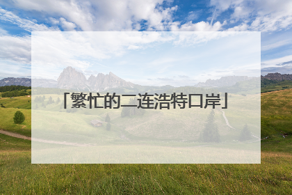 繁忙的二连浩特口岸
