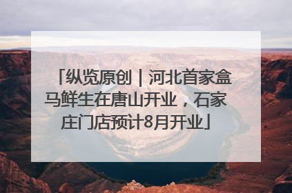 纵览原创｜河北首家盒马鲜生在唐山开业，石家庄门店预计8月开业
