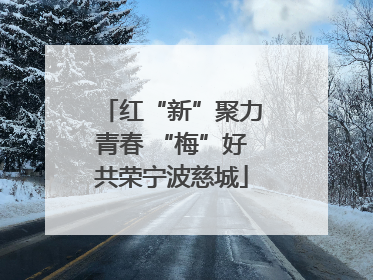 红“新”聚力青春 “梅”好共荣宁波慈城