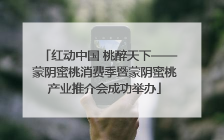 红动中国 桃醉天下——蒙阴蜜桃消费季暨蒙阴蜜桃产业推介会成功举办