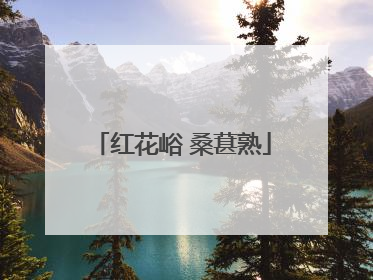 红花峪 桑葚熟