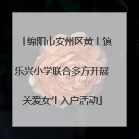 绵阳市安州区黄土镇乐兴小学联合多方开展关爱女生入户活动