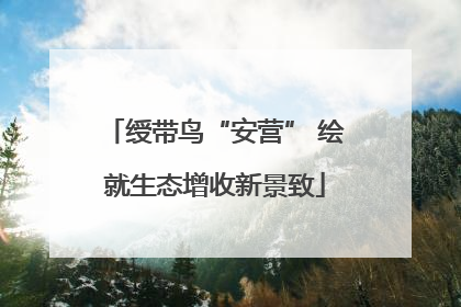 绶带鸟“安营” 绘就生态增收新景致