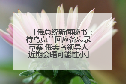 俄总统新闻秘书：待乌克兰回应备忘录草案 俄美乌领导人近期会晤可能性小