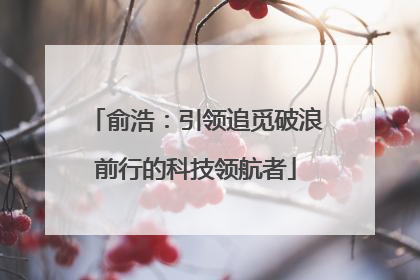 俞浩：引领追觅破浪前行的科技领航者