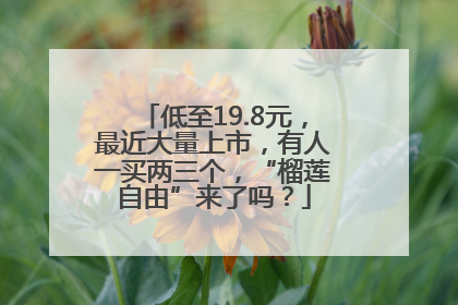 低至19.8元，最近大量上市，有人一买两三个，“榴莲自由”来了吗？