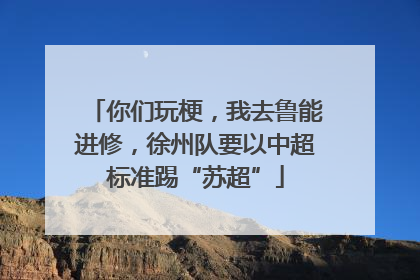 你们玩梗，我去鲁能进修，徐州队要以中超标准踢“苏超”