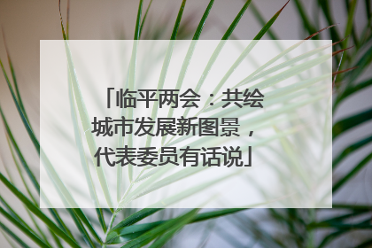 临平两会：共绘城市发展新图景，代表委员有话说