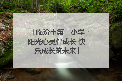 临汾市第一小学：阳光心灵伴成长 快乐成长筑未来