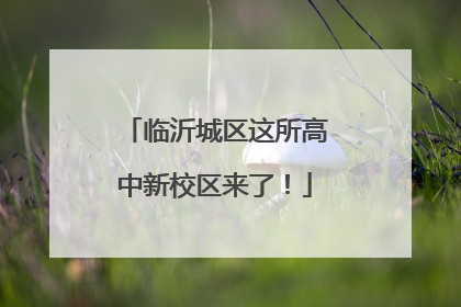 临沂城区这所高中新校区来了！