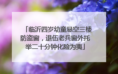 临沂四岁幼童悬空三楼防盗窗，退伍老兵窗外托举二十分钟化险为夷