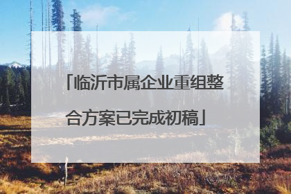 临沂市属企业重组整合方案已完成初稿