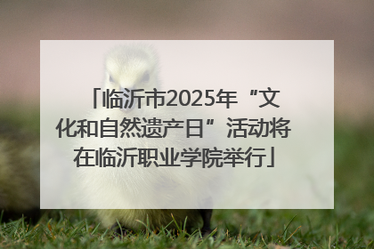 临沂市2025年“文化和自然遗产日”活动将在临沂职业学院举行